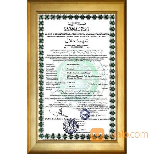 Berikut Ini 2 Obat Alami Untuk Mengobati Kelenjar Tiroid Tanpa Operasi Ampuh Aman Tanpa Efek Samping