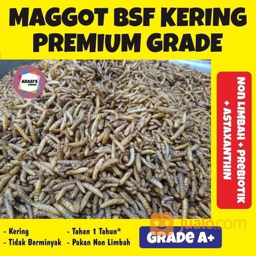 Maggot Kering Premium Pakan Koi 1Kg