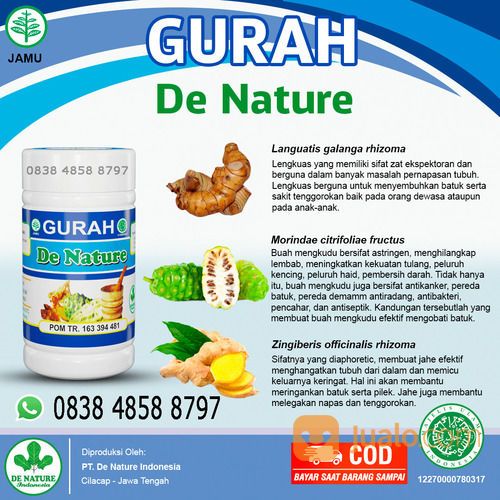 Inilah Obat Gurah Herbal | Gurah Paru | Gurah Hidung | Gurah Tenggorokan | Gurah Suara | Ampuh