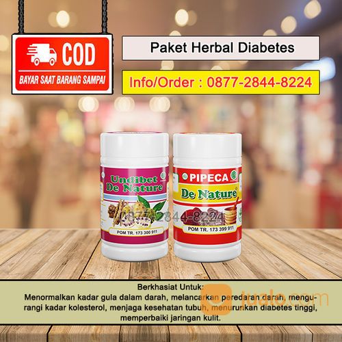 Obat Diabetes Melitus Diabetes Insipidus Kencing Manis Ampuh