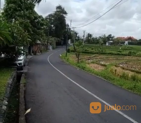 Tanah 31,7 Are, Jl. Raya Tengah I, Umalas Tegal Cupek Kerobokan
