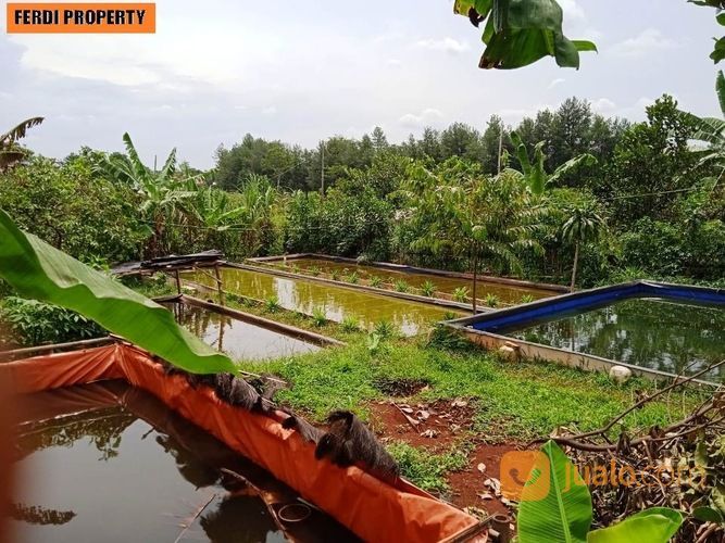 Villa Billabong Luas Bagus Siap Huni Bojonggede Kab Bogor