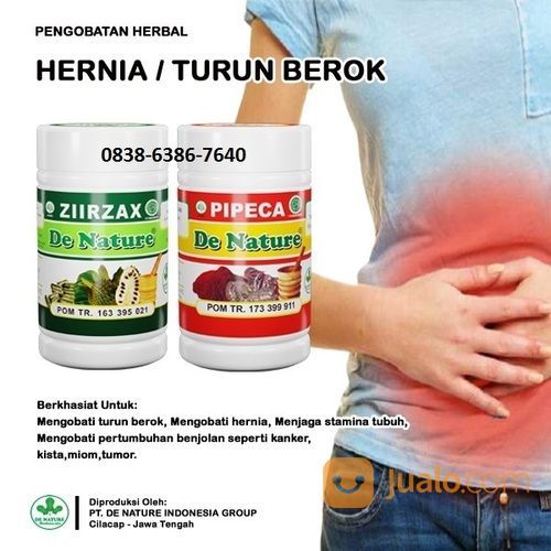 OBAT TURUN BEROK ALAMI HERNIA TANPA OERASI PALING MANJUR HERBAL DE NATURE 100% BAHAN ALAMI ORIGINAL