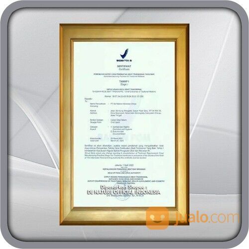 OBAT TURUN BEROK ALAMI HERNIA TANPA OERASI PALING MANJUR HERBAL DE NATURE 100% BAHAN ALAMI ORIGINAL