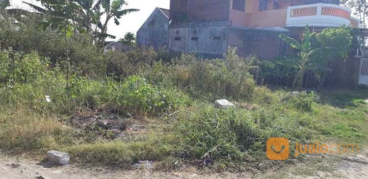 Tanah Murah Siap Bangun Cocok Untuk Rumah Tinggal Atau Kost Di Jl Ikan Piranha Malang