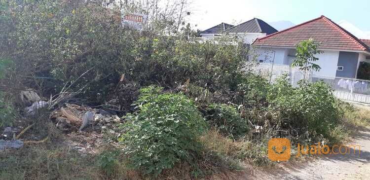 Tanah Murah Siap Bangun Cocok Untuk Rumah Tinggal Atau Kost Di Jl Ikan Piranha Malang