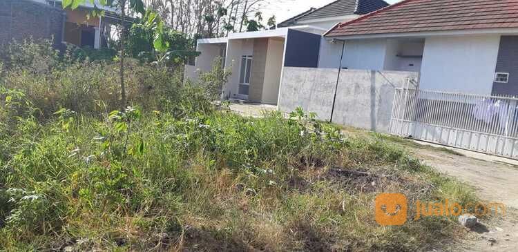 Tanah Murah Siap Bangun Cocok Untuk Rumah Tinggal Atau Kost Di Jl Ikan Piranha Malang
