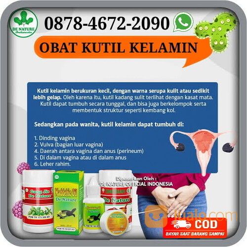 Obat Kutil Kelamin Callusol Yang Asli Tanpa Efek Samping 1 Malam Rontok Tanpa Efek Samping