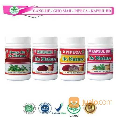 Obat Kutil Kelamin Hpv Yang Aman Tanpa Efek Samping Bisa Sembuh Total Tanpa Operasi