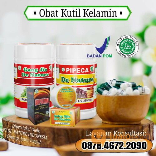 Imiquimod Obat Kutil Kelamin Di Apotik Yang Murah Asli De Nature Tanpa Efek Samping
