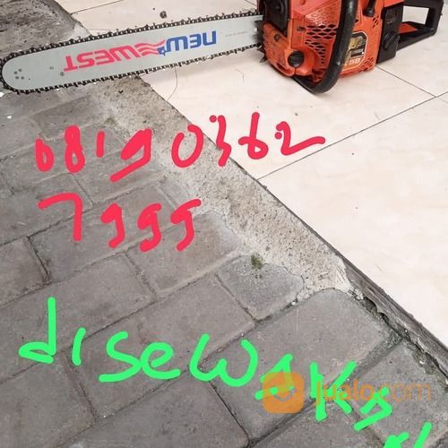 Sewa Sinso Mesin Tebang Pohon Wa 085641290679