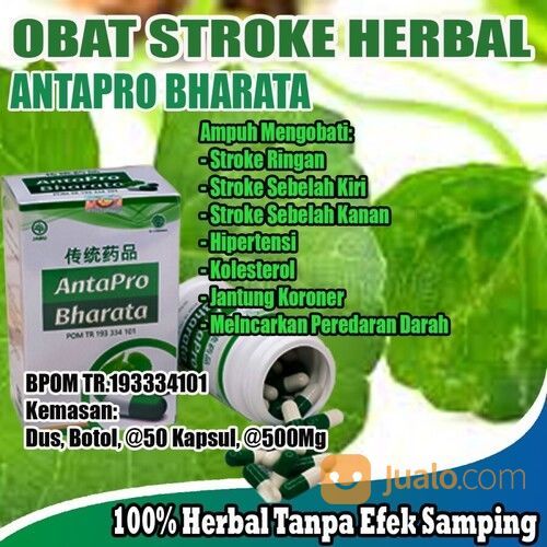 Obat Stroke Herbal Tanpa Efek Samping
