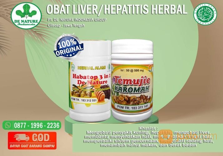 OBAT LIVER BENGKAK GEJALA KANKER HATI HABATOP TEMUJIE MENGATASI PENCERNAAN TERGANGGU DENATURE