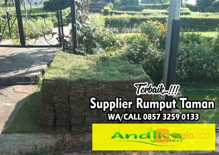 Rumput Taman Gresik, 0857-3259-0133, ANDIKA GARDEN