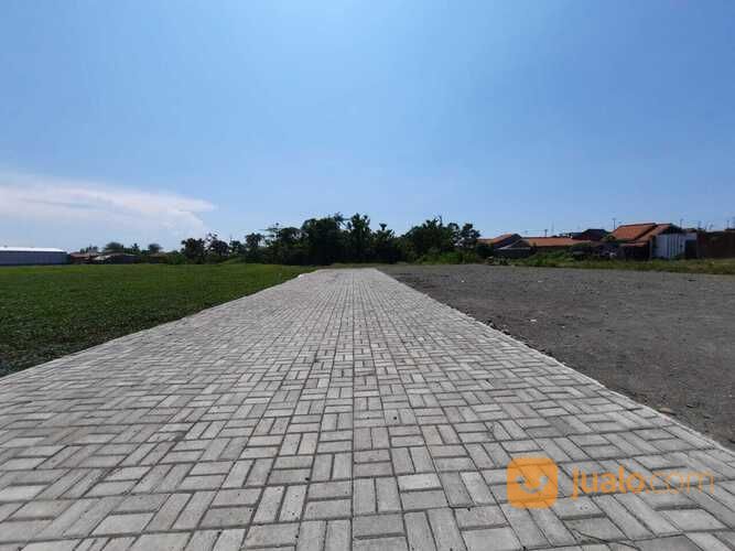 Kavling Winong Pekalongan, SHM Darat, Harga 100 Jt-An