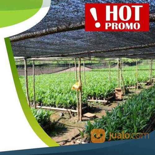 Jala Plastik Atau Jaring Paranet Peneduh Tanaman, Bahan Awet Tahan Lama