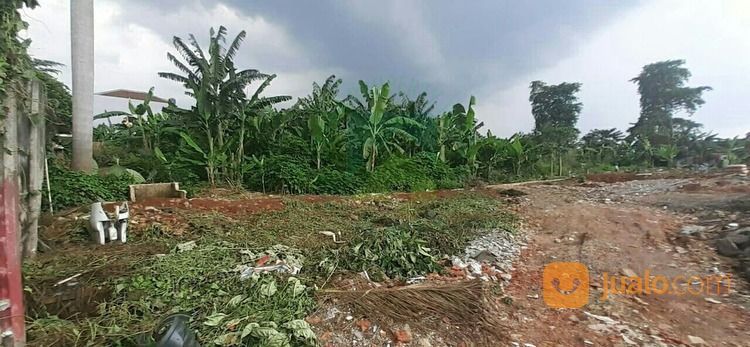 LAHAN KOSONG CILANDAK JAKARTA SELATAN Jl. Bakti IV (D/H Kampung Kandang) Jakarta Selatan