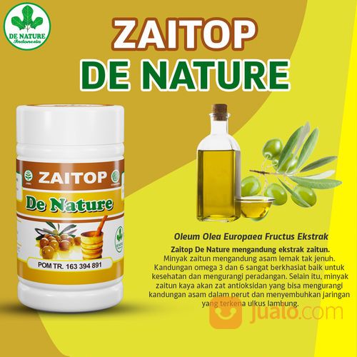 Obat Asam Lambung Kronis Dan Maag Akut Herbal Alami De Nature Indonesia