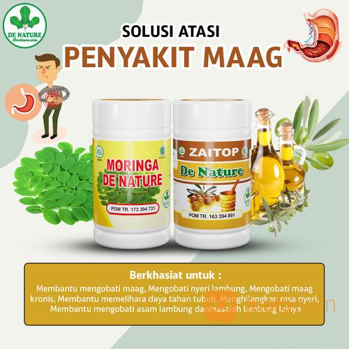 Obat Asam Lambung Kronis Dan Maag Akut Herbal Alami De Nature Indonesia