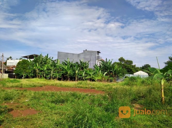 Kebun Sangat Luas Di Jalan Raya Kampung Sawah Kota Bekasi