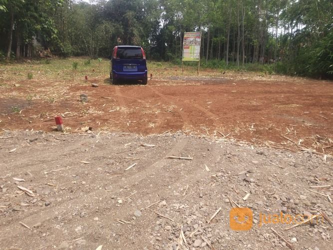 Tanah Murah Di Weleri Kendal