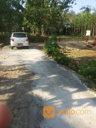 Tanah Murah Di Weleri Kendal