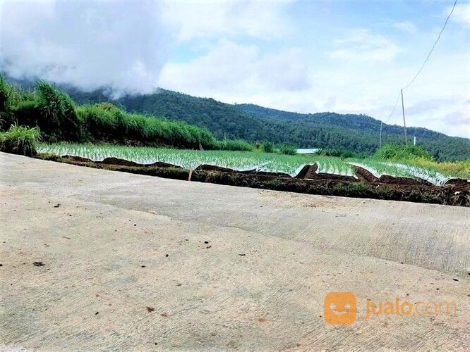 Tanah Cocok Dibangun Hotel,Resort Kemuning Ngargoyoso Karanganyar