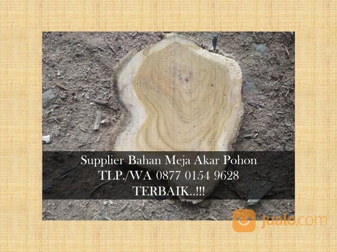 Harga Bahan Meja Akar Kayu WA. 0877 0154 9628 SIAP KIRIM..!!!