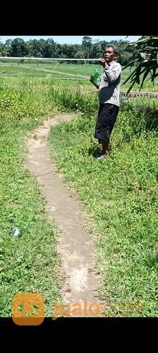 Tanah Kosong Per Rante