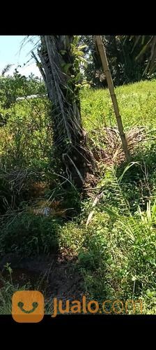 Tanah Kosong Per Rante