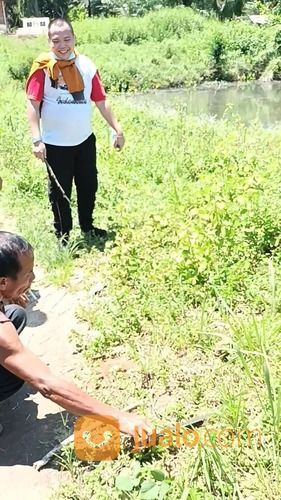 Tanah Kosong Per Rante