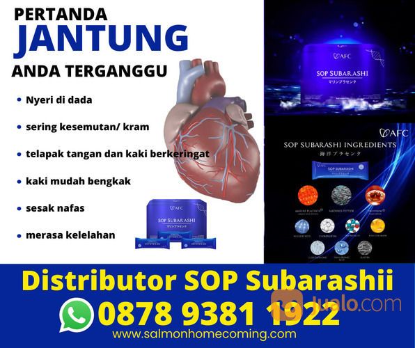 1 Box SOP Subarashi Isi Berapa, WA 0878 9381 1922