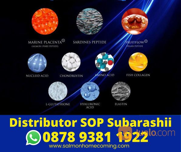 1 Box SOP Subarashi Isi Berapa, WA 0878 9381 1922
