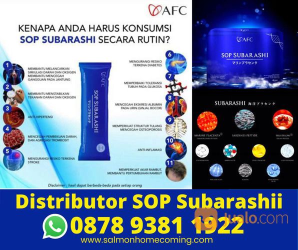 1 Box SOP Subarashi Isi Berapa, WA 0878 9381 1922