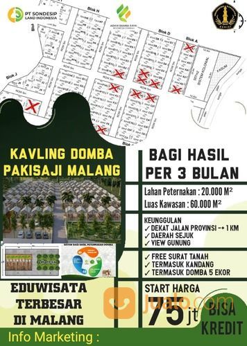 Iinvestasi Di Peternakan