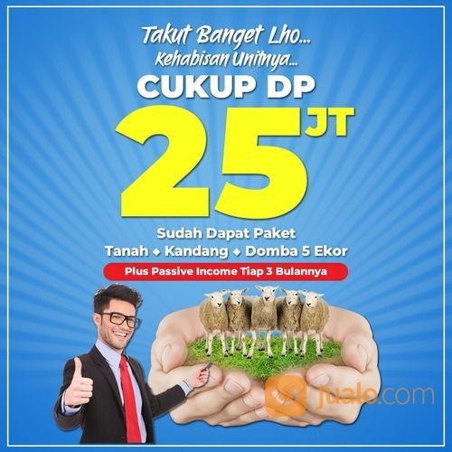 Iinvestasi Di Peternakan