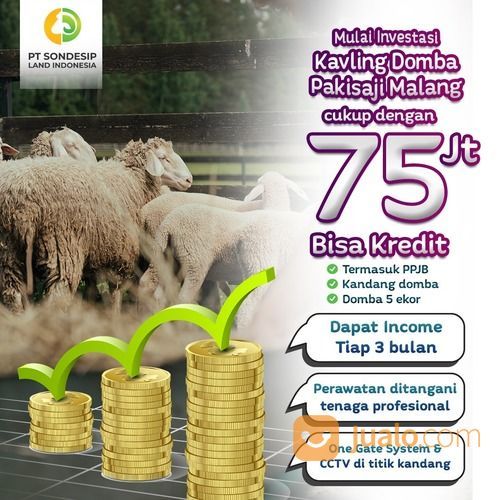 Tanah Peternakan Pakisaji Malang