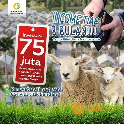 Tanah Peternakan Pakisaji Malang