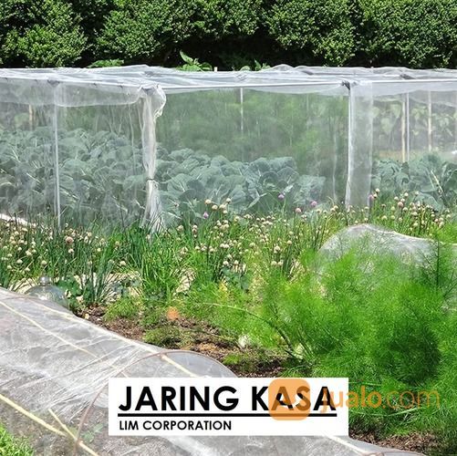 Jaring Kasa Putih Murah, Ukuran Jaring Kasa, Insectnet Murah