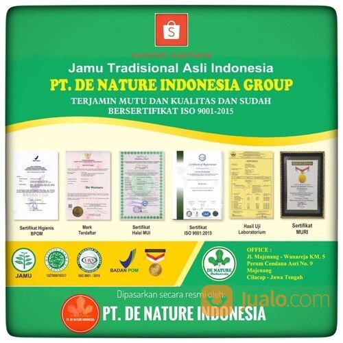 Obat Boyok Kecetit Sakit Pinggang Tulang Belakang Syaraf Kejepit Encok