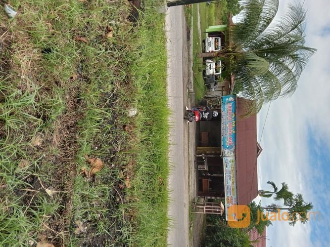 Travel Pekanbaru Teluk Kuantan