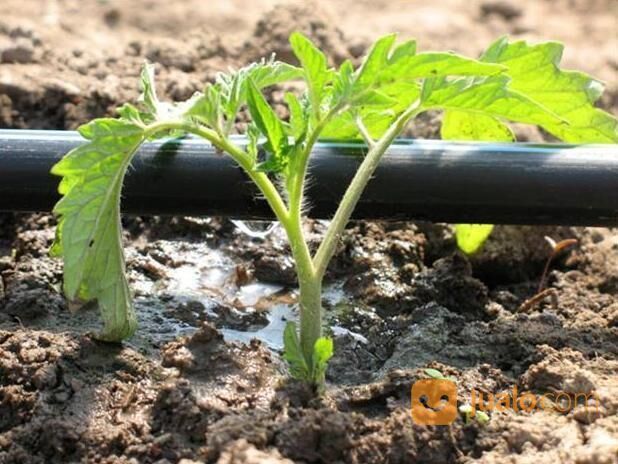 Selang Drip PE Selang Plastik Drip Selang Pertanian Selang PE Selang Drip Irigasi