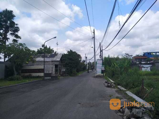 Tanah Selatan Kopi Jongke Yogyakarta(D.2330)