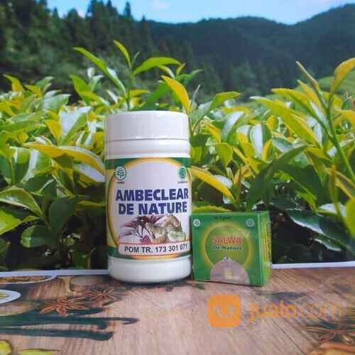Obat Pengempis Benjolan Luar Wasir Ambeien Ambeyen Alami Ambecelar Salwa De Nature (Ter-Murah)
