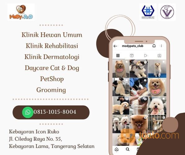 KUALITAS, CALL 0813-1015-8004, Dokter Hewan Kucing, Dokter Hewan Kucing Murah, Klinik Hewan 24 Jam