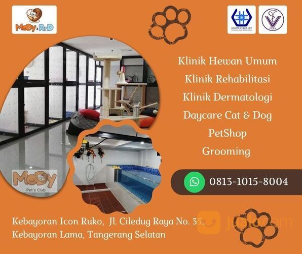 TERUPDATE, CALL 0813-1015-8004, Periksaan Hewan, Klinik Hewan Terdekat 24 Jam, Klinik Hewan Terdekat