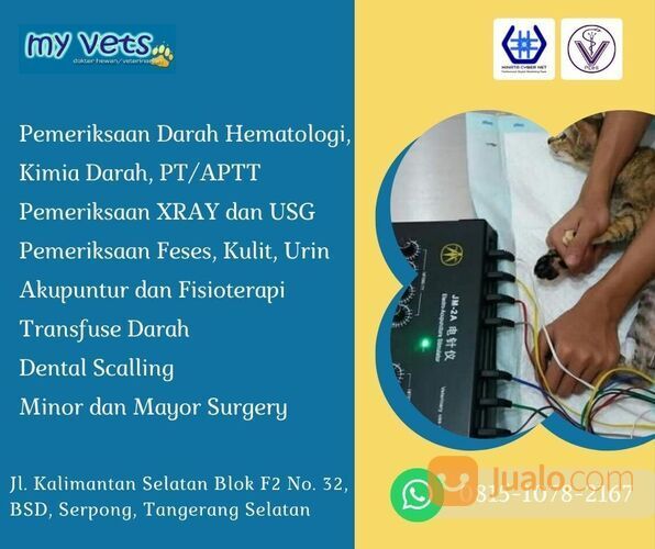 TERUPDATE, CALL 0813-1015-8004, Periksaan Hewan, Klinik Hewan Terdekat 24 Jam, Klinik Hewan Terdekat