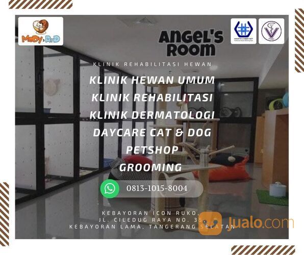 BERKUALITAS, CALL 0813-1015-8004, Klinik Hewan Kucing, Klinikhewan, Klinik Rehabilitasi Medik