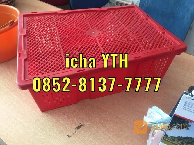 Keranjang Buah Kecil YTH-29