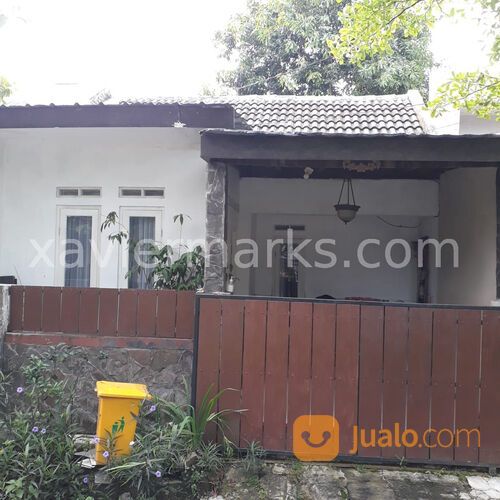 GREEN SEVILLA CITRA RAYA